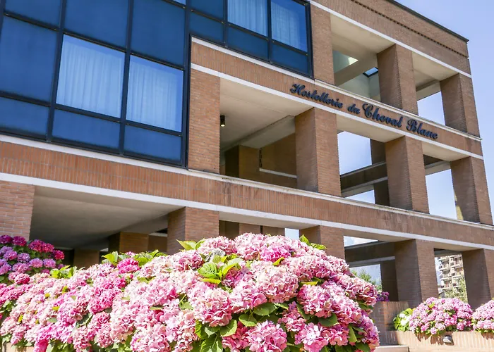 Hostellerie Du Cheval Blanc